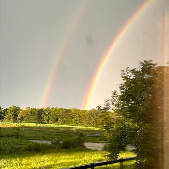 The reason I Posh….. - Picture 2 of 10